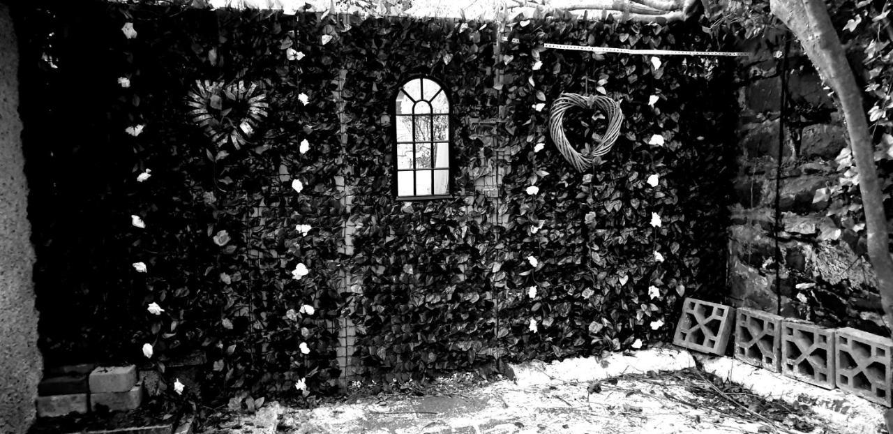 Belfast Cosy Cabin Buitenkant foto