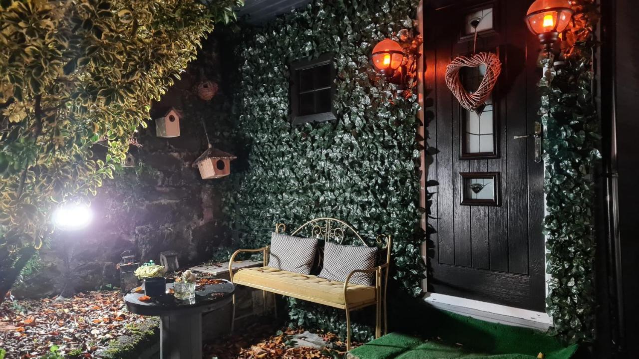 Belfast Cosy Cabin Buitenkant foto